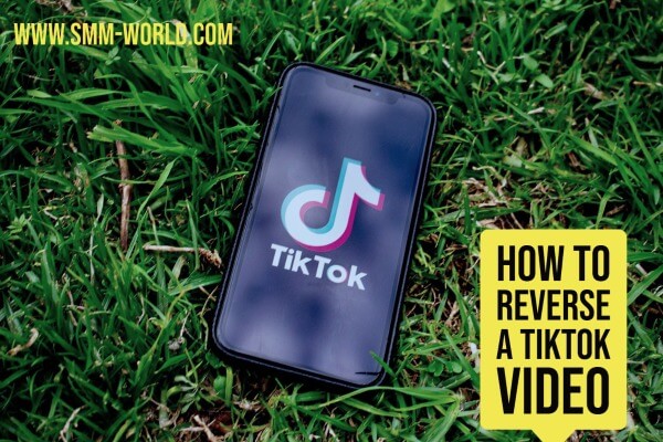 How To Reverse A TikTok Video